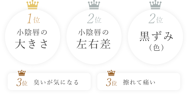 小陰唇の左右差 小陰唇の大きさ 黒ずみ（色）