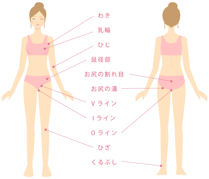 ピンクインティメイトの施術可能部位